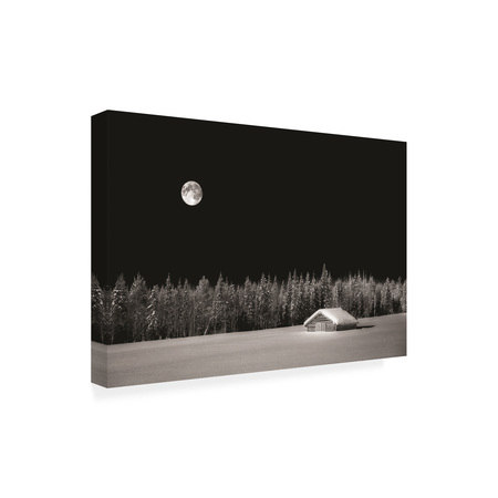Trademark Fine Art Philippe Sainte Laudy 'Under The Moon and Over The Sky' Canvas Art, 16x24 PSL01372-C1624GG